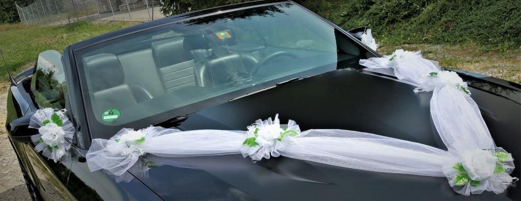 Autodekoration in Weiss-Grün #MIETE#