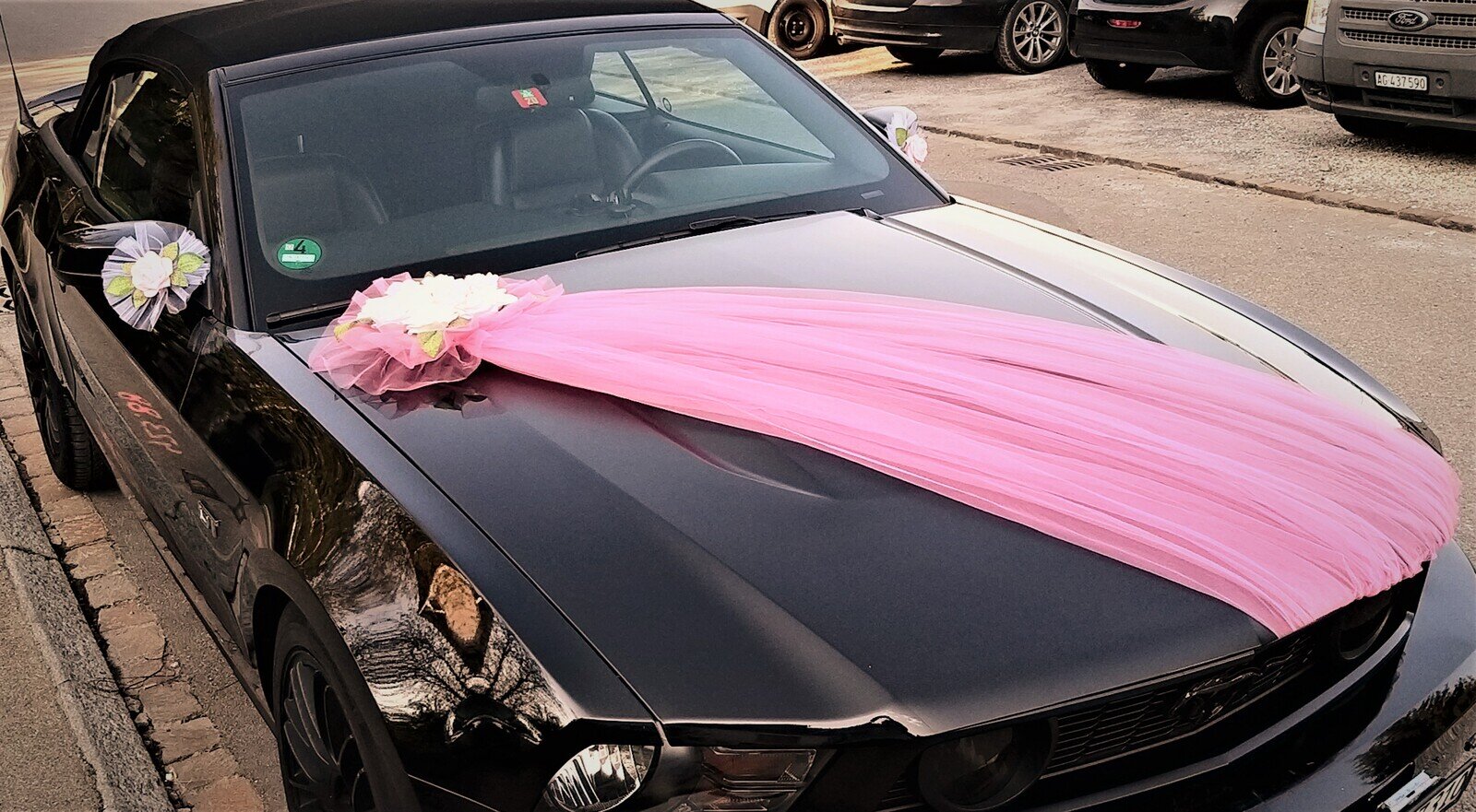 Autodekoration in Weiss-Rosa 2 #MIETE#
