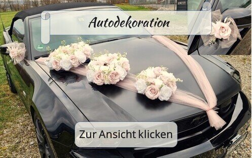 Auto-Deko - MietShop